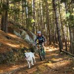 MUSHING BICI
