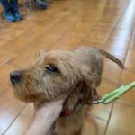 480407329_1082933300544394_8559701732180661672_n