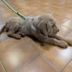 480522161_1082954797208911_3361028166298735689_n