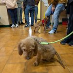 PXL_20250219_102314293