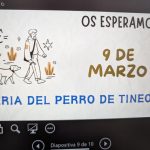 PXL_20250226_101533259