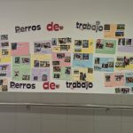 PXL_20250226_105521759