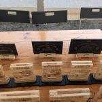 PXL_20250309_075911565(1)