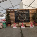 PXL_20250309_075919889