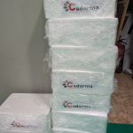 PXL_20250309_080039607