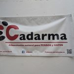 PXL_20250309_080134484