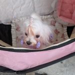 PXL_20250309_085149527