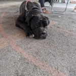 PXL_20250309_133933463