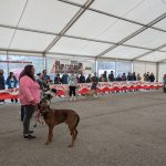 PXL_20250309_145457835