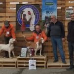 facebook_1741594598807_7304777192157055279