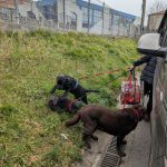 PXL_20260305_093238259