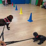 PXL_20260305_105620289