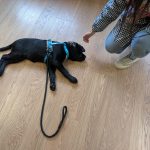 PXL_20260305_120904829