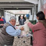 PXL_20260308_094109205