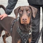 PXL_20260308_094233693