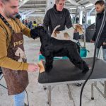 PXL_20260308_094408082