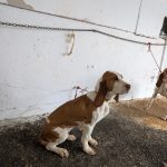 PXL_20260308_094621509