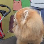 PXL_20260308_094750417