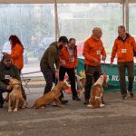 PXL_20260308_100001450