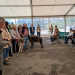 PXL_20260308_124339869