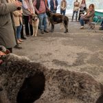 PXL_20260308_124344650