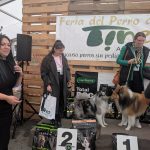 PXL_20260308_152920785