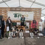 PXL_20260308_152946534