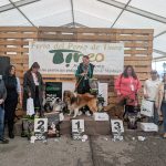 PXL_20260308_152948029