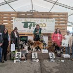 PXL_20260308_152949216