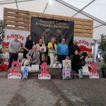 bes in show pedigrí